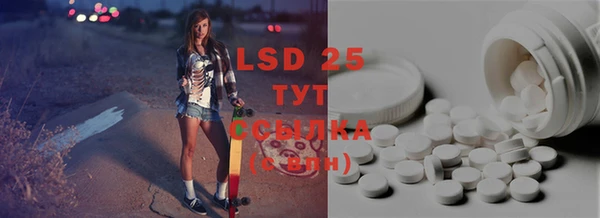 PSILOCYBIN Бородино
