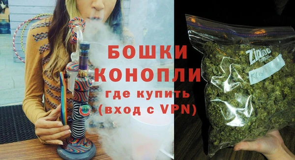 PSILOCYBIN Бородино
