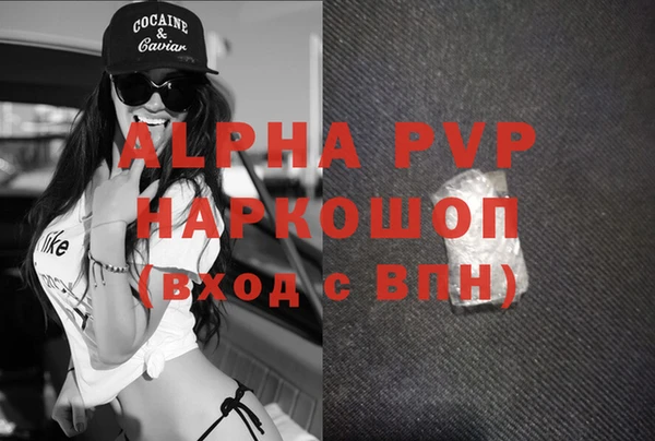PSILOCYBIN Бородино