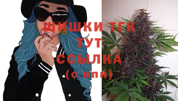 PSILOCYBIN Бородино