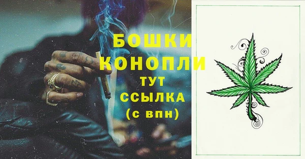 PSILOCYBIN Бородино