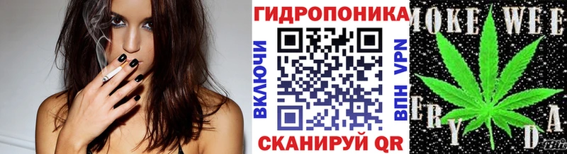 Канабис OG Kush  Колпашево 